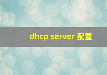 dhcp server 配置